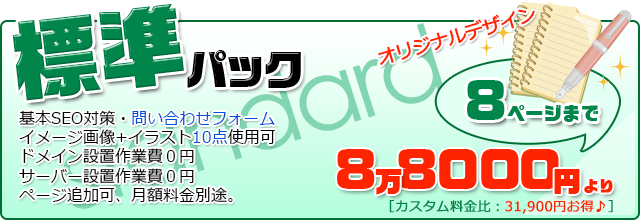 標準的でお得なパック 標準パック
